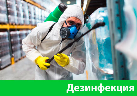 Дезинфекция в городе Димитровград