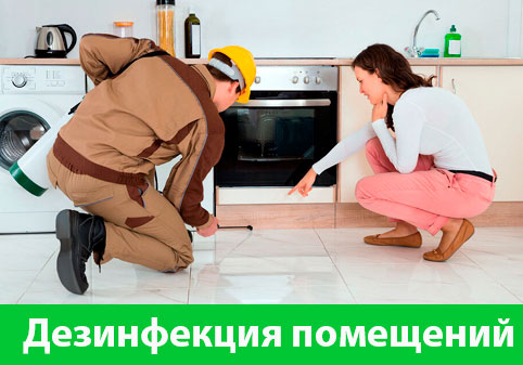 Дезинфекция офисов от коронавируса в городе Димитровград