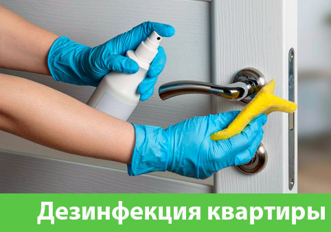 Дезинфекция квартиры в городе Димитровград