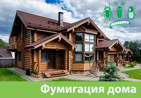 Преимущества обработки газом в городе Димитровград