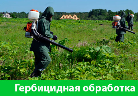 Гербицидная обработка в городе Димитровград