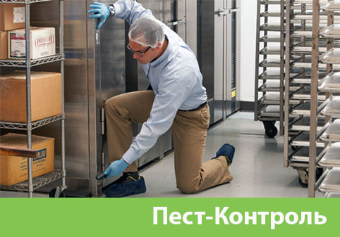 Пэст-Контроль в городе Димитровград