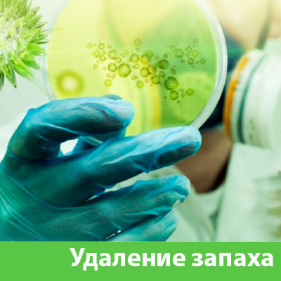 Удаление запахов в Димитровграде