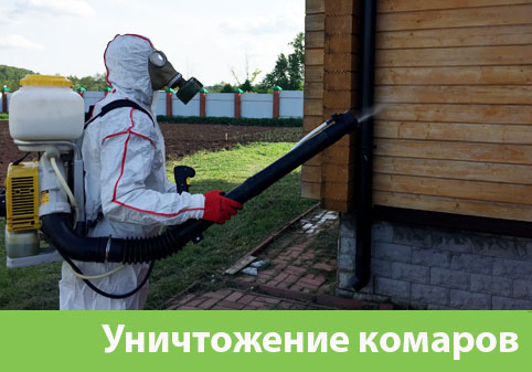 Уничтожение комаров в городе Димитровград